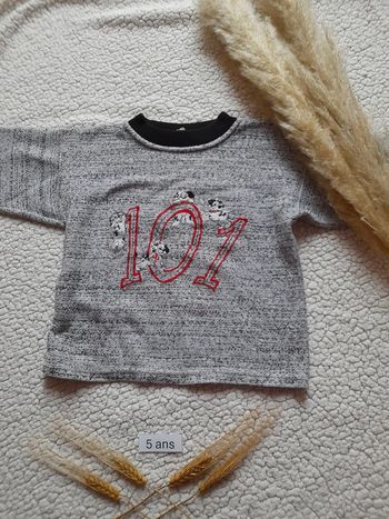 Pull disney 5 ans