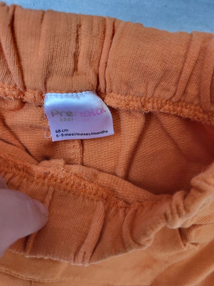 Short été éponge garcon 6/ 9mois - photo numéro 2