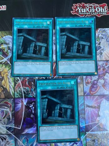 Préparation des rites