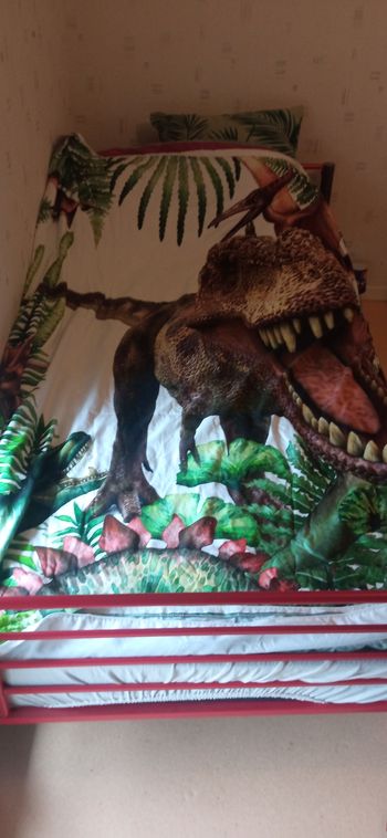 Drap housse et taie d'oreiller