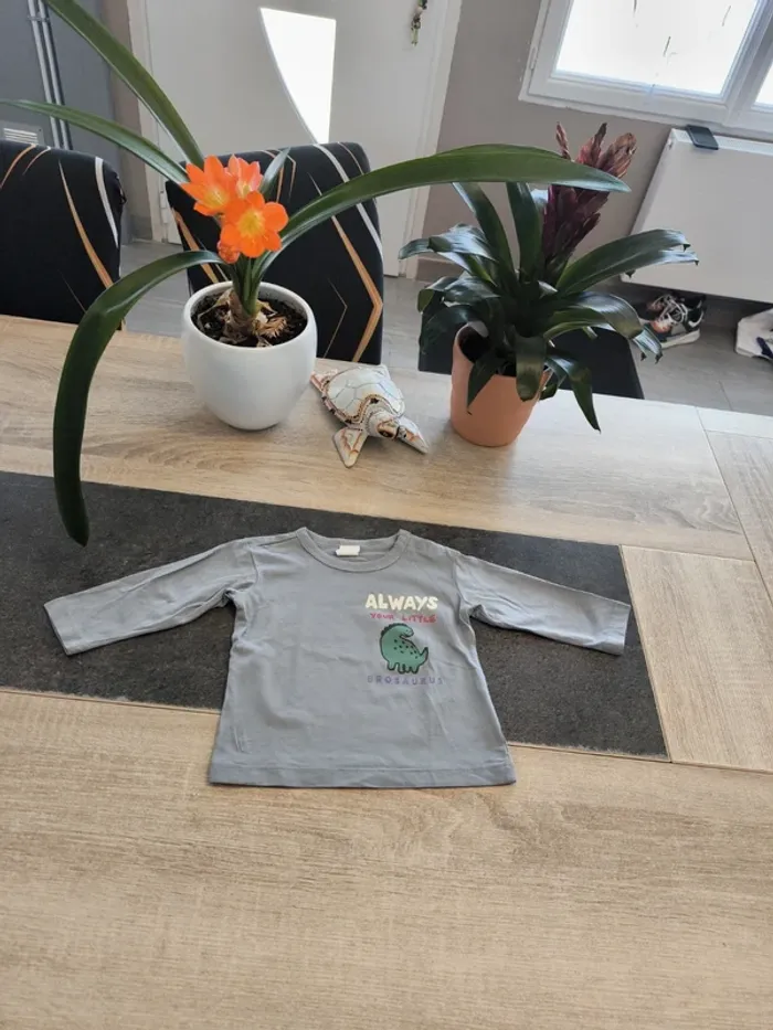 Tee-shirt garçon ml 6 mois HM