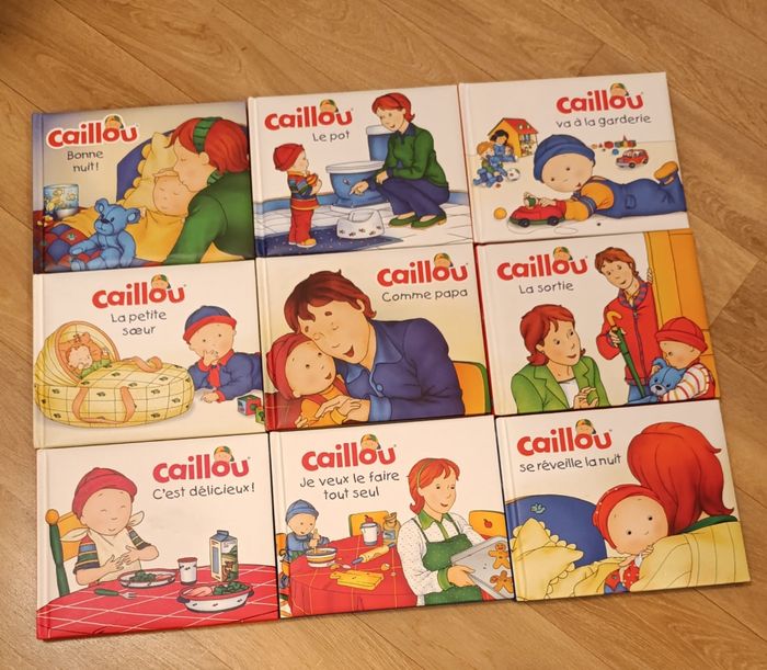 Livre caillou
