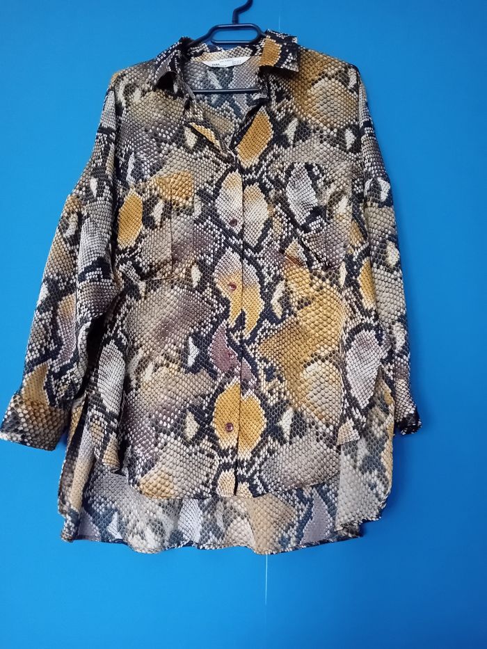 Chemise - photo numéro 4