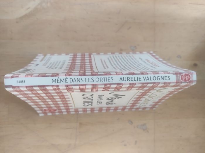 Mémé dans les orties Aurélie Valognes Livre de Poche 2022 - photo numéro 2