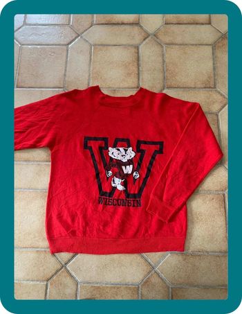 Crewneck sweat unisexe animalier vintage printed Wisconsin NCAA usa année 90
