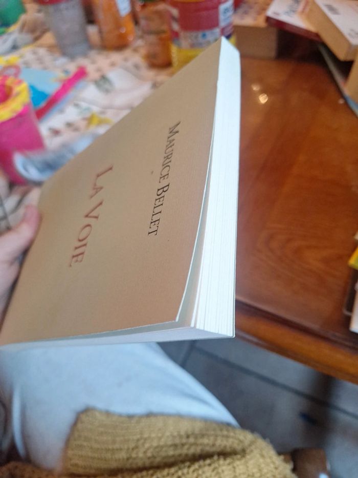 La voie le livre - photo numéro 5