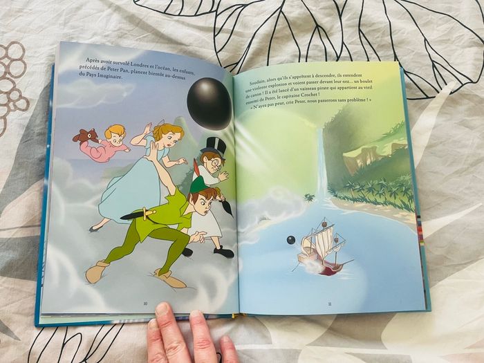 Lot livre - photo numéro 4