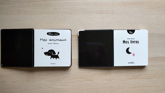 Lot de 2 livres Noir & blanc - photo numéro 5