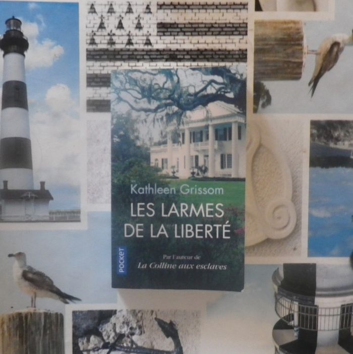 Les larmes de la liberté de Kathleen Grissom Ed. Pocket
