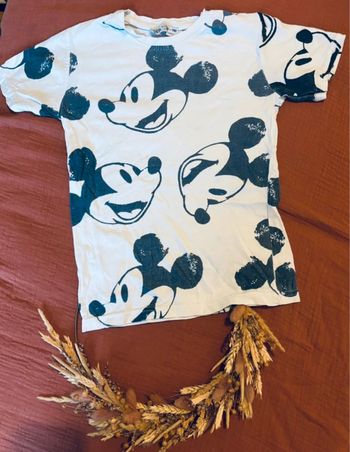 Ter shirt Zara Disney