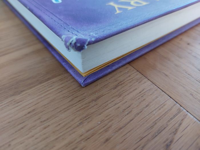 The ugly truth - photo numéro 7