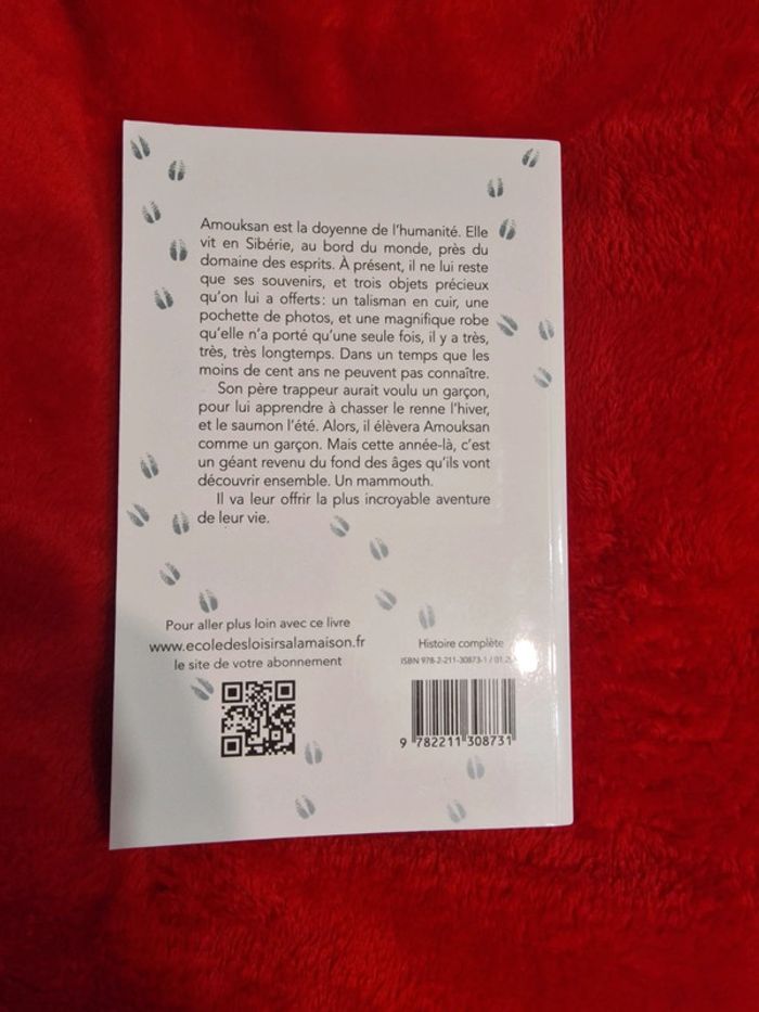 Livre mission mammouth - photo numéro 2