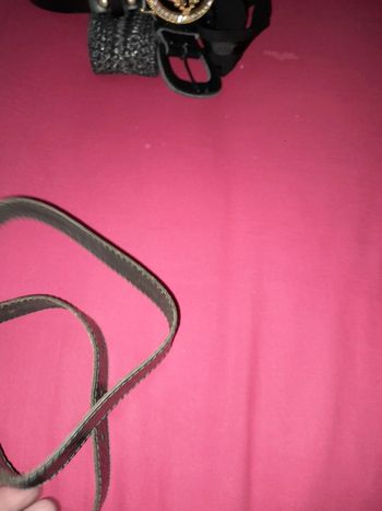 Ceinture verte