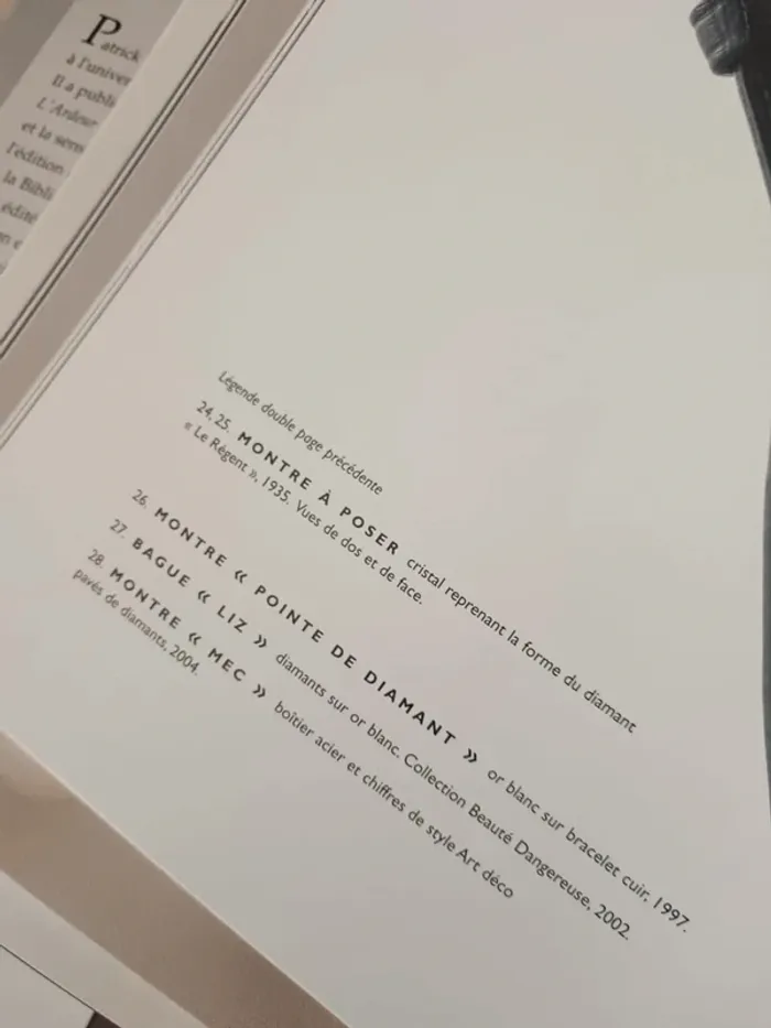 Livre Boucheron la capture de l'éclat - photo numéro 6