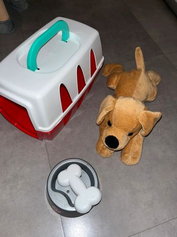 Jouet chien et sa boîte
