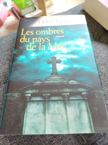 Livre les ombres du pays de la Mee