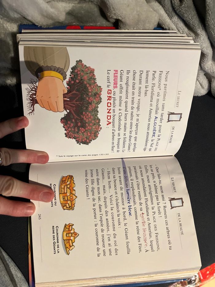 Livre pour enfants Geronimo stilton le royaume de la magie - photo numéro 6