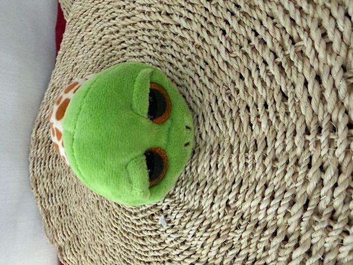 TY- Beanie Boo's - Peluche Zippy la Tortue - photo numéro 5
