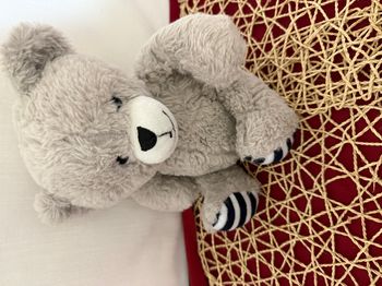 Doudou - Ours - Françoise Saget