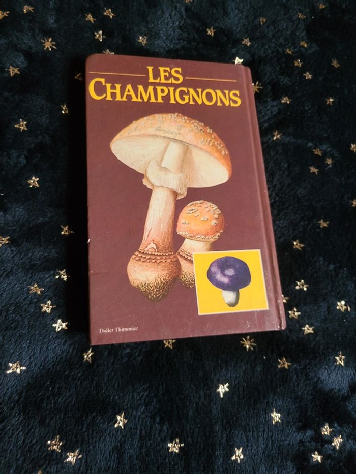 Petit livre sur les champignons - photo numéro 2