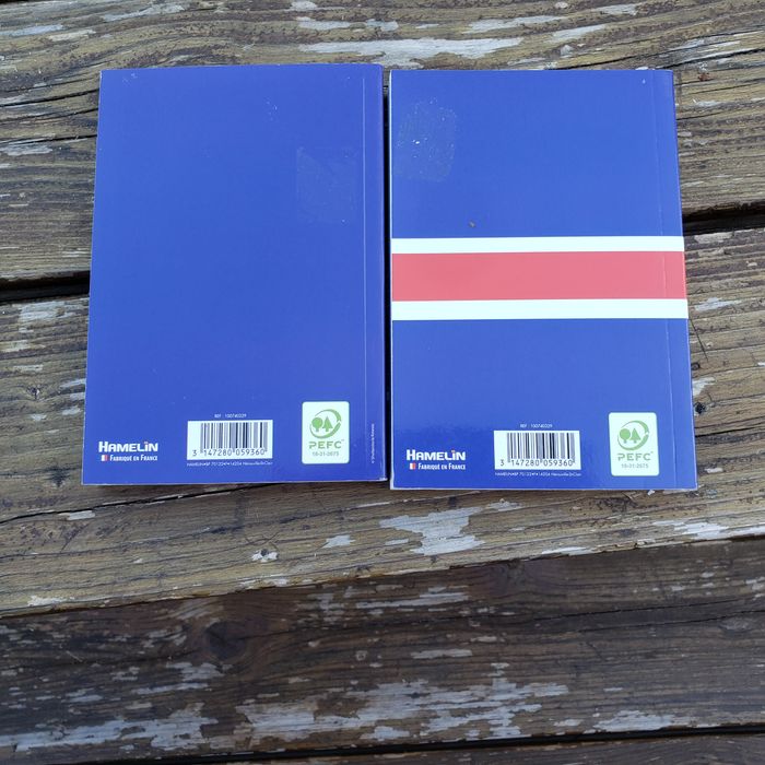 Lot de 2 agendas scolaires 2021-2022 - photo numéro 2