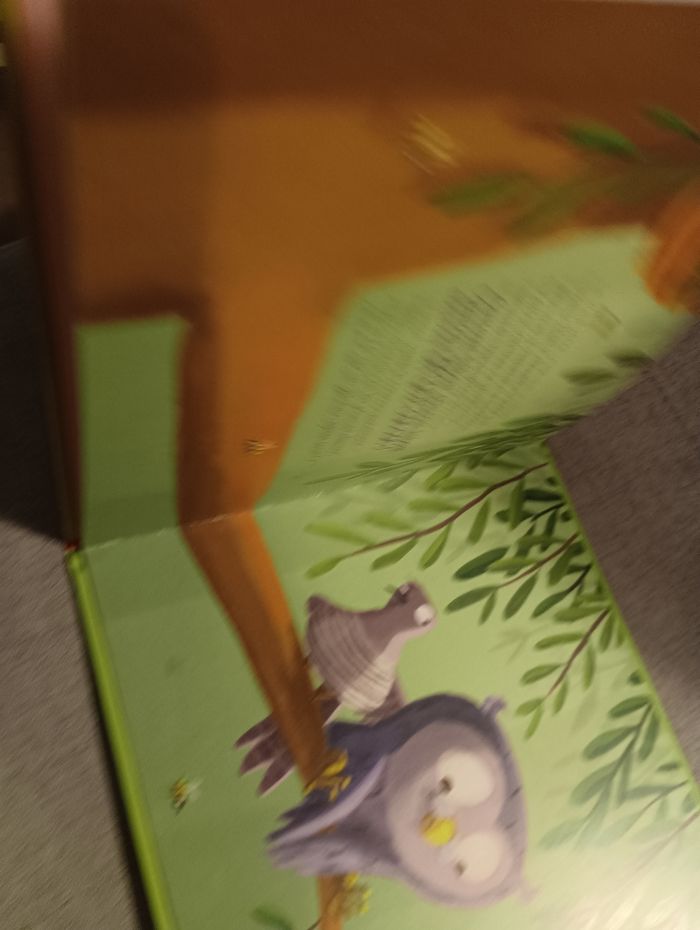 Livre mamie poule raconte le hibou qui cuisinait comme un fou - photo numéro 3