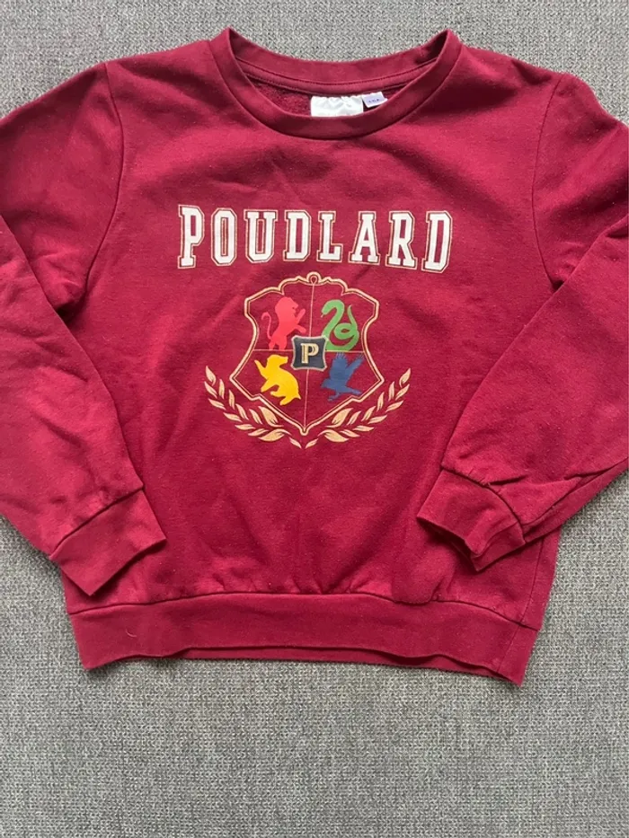 Pull Harry Potter mixte