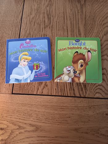 Lot de 2   livres Disney