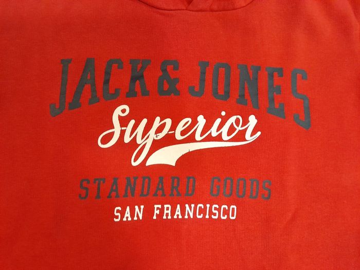 Sweat capuche 14 ans - photo numéro 2