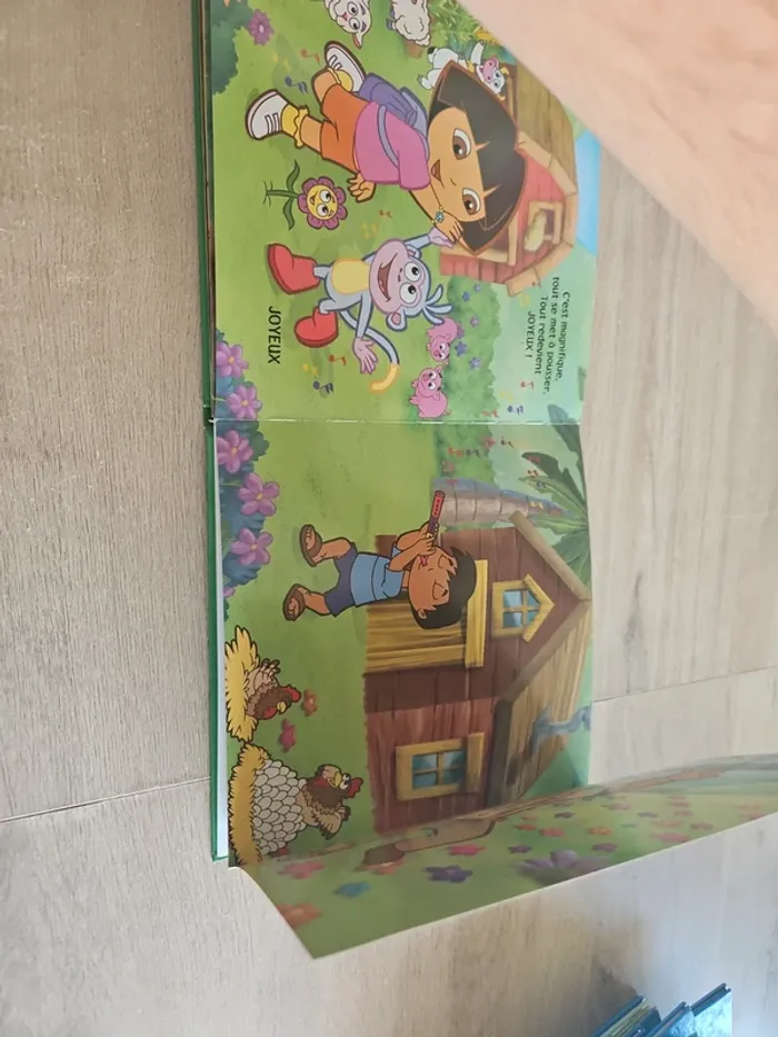 Livre dora l'exploratrice - photo numéro 4