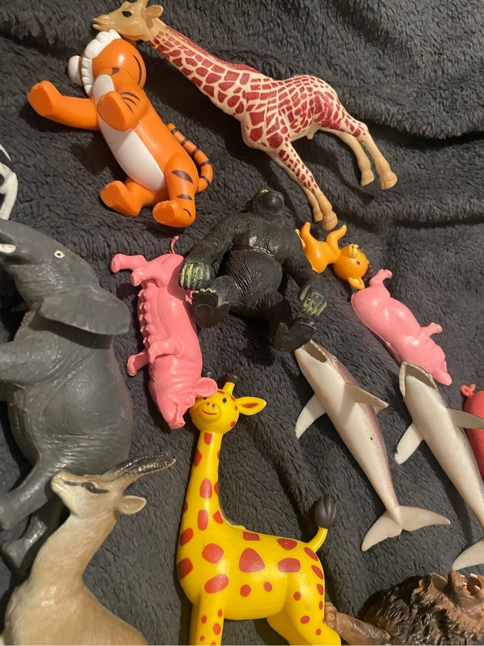 Lot animaux - photo numéro 7