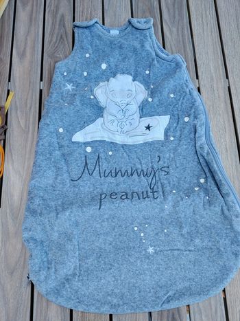 Gigoteuse Disney baby T.0-6 M