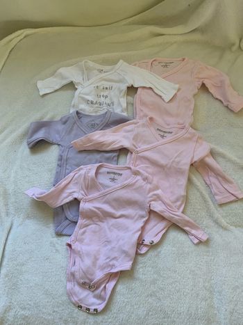 Lot 5 bodies