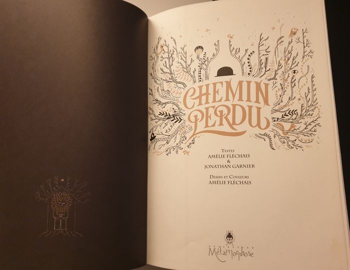Chemin perdu de Amélie Fléchais - photo numéro 2