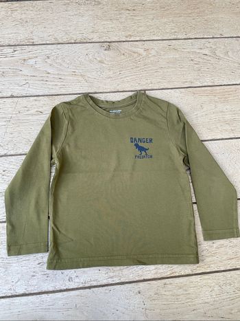 Teeshirt manches longues dinosaures 5 ans