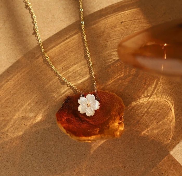 Collier acier inoxydable