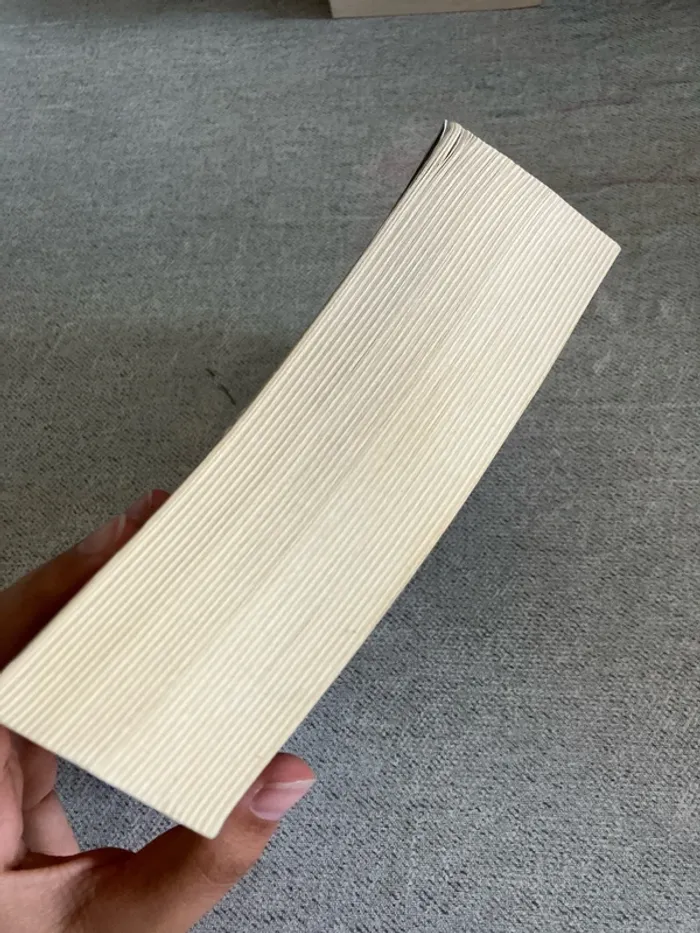 Millénium tome 2 : La fille qui rêvait d’un bidon d’essence et d’une allumette – Stieg Larsson - photo numéro 2