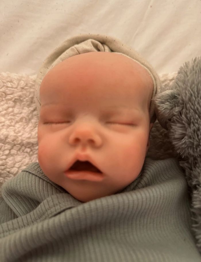 Reborn Poupée - photo numéro 8