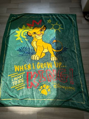 Plaid le roi lion Disneyland 
