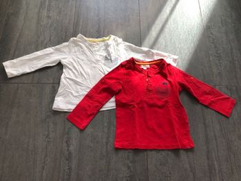 Lot 2 hauts manches longues DPAM 24 mois