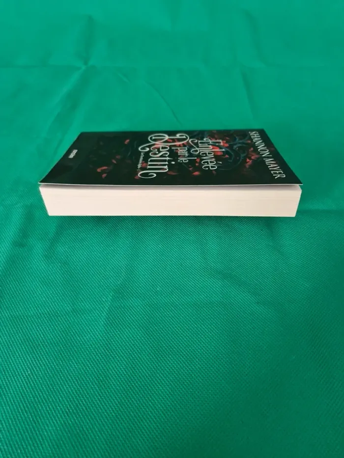 Enlevée par le Destin Les Territoires Alpha tome 1 Shannon Mayer - photo numéro 3
