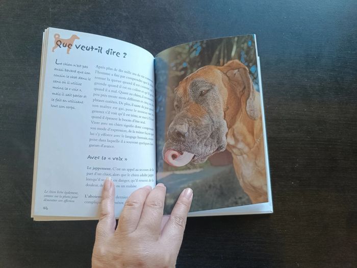 Livre MON... CHIEN - photo numéro 8