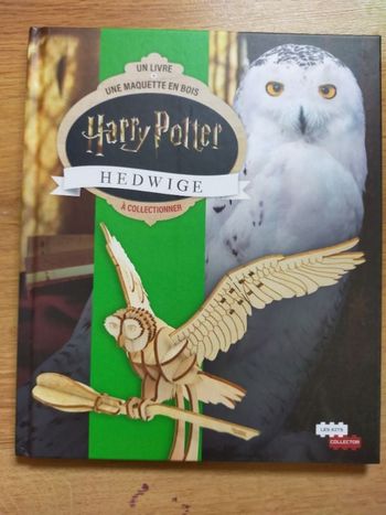 Livre avec maquette en bois