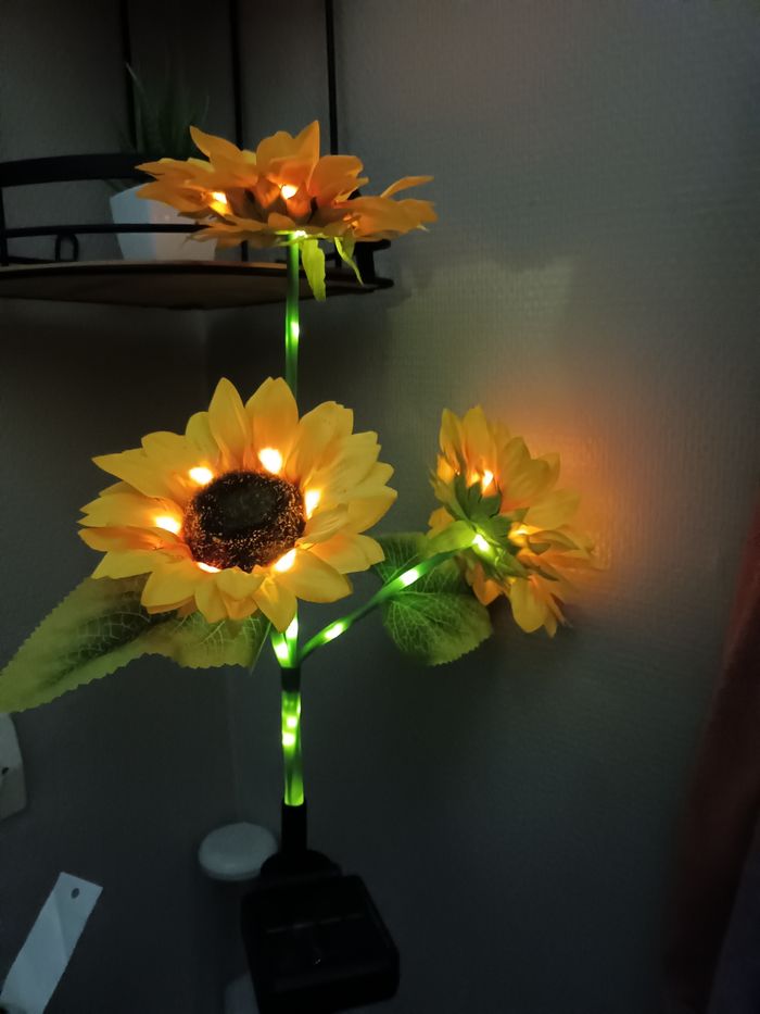 Lumière decorative - photo numéro 2