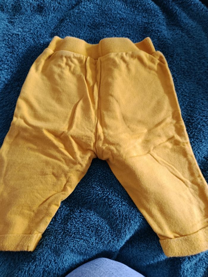 Pantalon roi lion - photo numéro 2