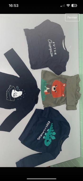 Lot 3 tee-shirts et un pull