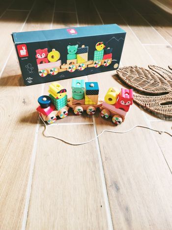 🐤Baby forest train à blocs-formes à encastrer en bois marque Janod