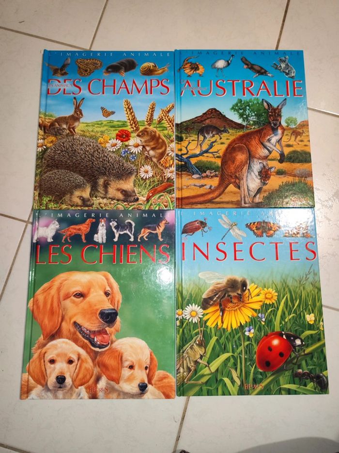 Lot de 4 livres sur l'imagerie animale