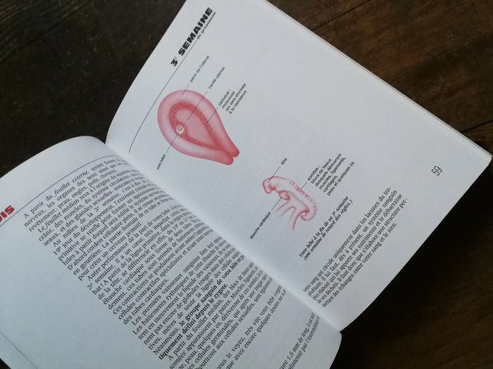 Le livre de bord de la future maman - photo numéro 6