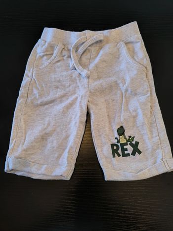 Short T-Rex 36 mois